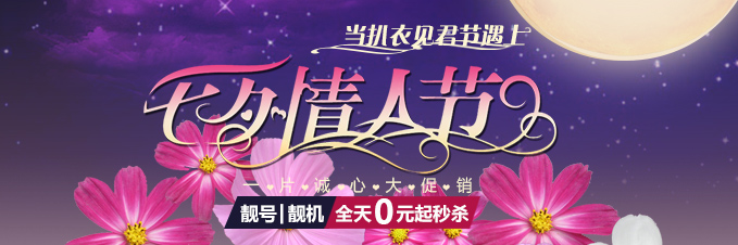 天翼靓号 电信海报 海报设计 广告设计 矢量 cdr,图片尺寸:650×836