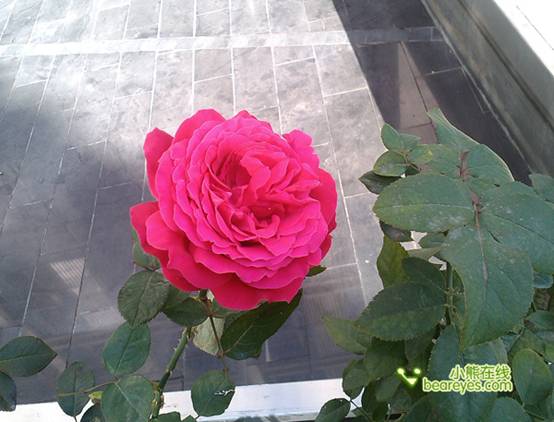 中国电信手机直销 - 中国电信网上营业厅 189.cn