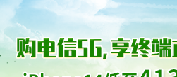 橙分期1