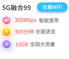 5G融合99