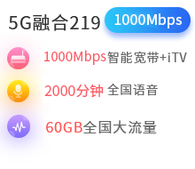 5G融合219