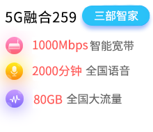 5G智慧家融合259