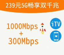 239元5G畅享双千兆融合