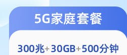 电子发票