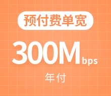 预付费单宽300Mbps 