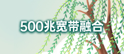 500M宽带集成页